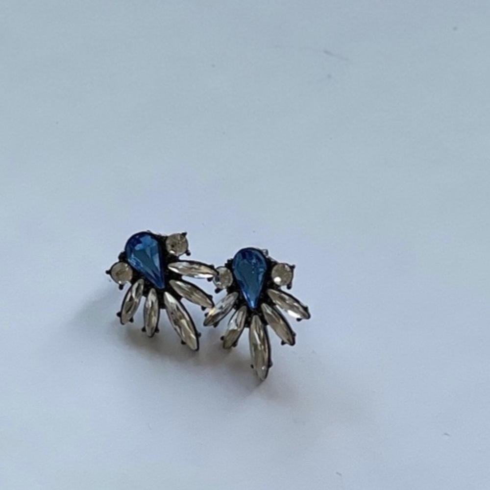 Earrings Blue Silver Stone